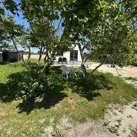 House In Nature Urban Medulin